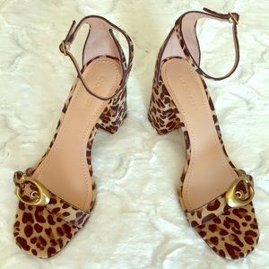 Coach Animal Print Sandals 10